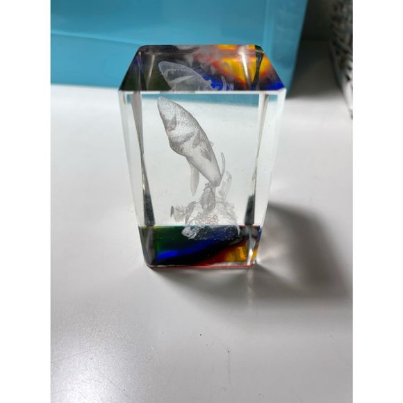 Clearwater Beach Shark Etched Paper Weight - Picture 6 of 6
